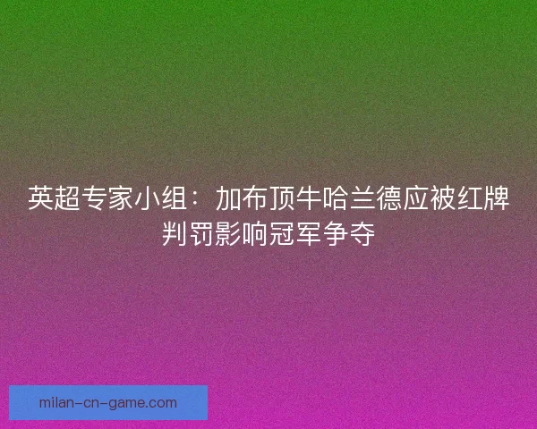 英超专家小组：加布顶牛哈兰德应被红牌判罚影响冠军争夺
